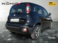 Gebraucht Fiat Panda 69 PS (50 kW) 2023 Cinemaschwarz Kleinwagen
