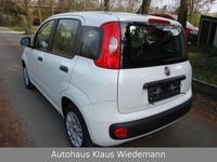 Gebraucht Fiat Panda Easy 69 PS (50 kW) 2017 Gelato  weiß Kleinwagen