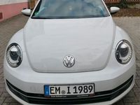 Gebraucht VW Beetle Exclusive 105 PS (77 kW) 2014 Weiß Kleinwagen