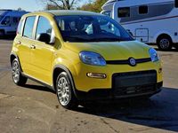 Gebraucht Fiat Panda 69 PS (50 kW) 2024 Gelb Kleinwagen