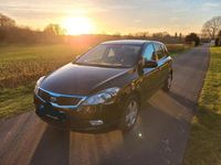 Gebraucht Kia Ceed Spirit 90 PS (66 kW) 2010 Schwarz Kleinwagen