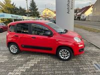 gebraucht Fiat Panda Easy