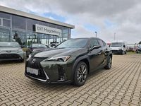 Neu Lexus UX 300h Sport Design Packet 199 PS (146 kW) 2025 Norigrün SUV