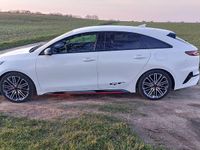Gebraucht Kia ProCeed GT GT 204 PS (150 kW) 2019 Weiß Kleinwagen