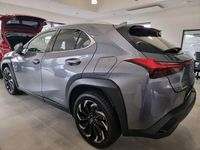 Gebraucht Lexus UX 300e 150 kW (204 PS) 2022 Grau SUV