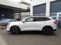 Neu Haval H6 Lux 243 PS (178 kW) 2026 Weiß SUV