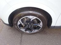 Gebraucht Ford Transit Limited 100 kW (136 PS) 2025 Cactus gray Van / Kleinbus