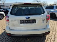 Gebraucht Subaru Forester Active 147 PS (108 kW) 2017 Weiß SUV