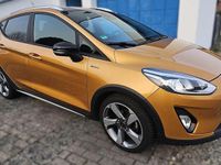 Gebraucht Ford Fiesta Active 101 PS (74 kW) 2018 Bronze Kleinwagen