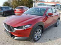 Gebraucht Mazda CX-30 Selection 122 PS (89 kW) 2022 Rot SUV