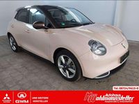 Gebraucht Ora 03 125 kW (171 PS) 2024 Beige Kleinwagen