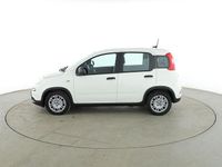 Neu Fiat Panda Cross Cross 71 PS (52 kW) 2025 Weiß Kleinwagen