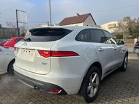Gebraucht Jaguar F-Pace R-Sport 241 PS (177 kW) 2017 Weiß SUV