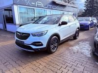 Gebraucht Opel Grandland X S 131 PS (96 kW) 2020 Weiß SUV