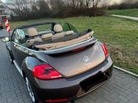 Gebraucht VW Beetle S 105 PS (77 kW) 2013 Braun Kleinwagen