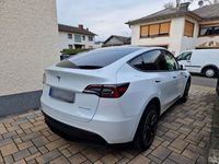 gebraucht Tesla Model Y Long Range AWD Dual Motor