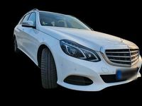 Gebraucht Mercedes E220 170 PS (125 kW) 2014 Weiß Kombi