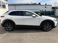 Gebraucht Mazda CX-30 Selection 179 PS (131 kW) 2021 Weiß SUV