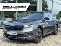 Neu Skoda Kamiq Monte Carlo 116 PS (85 kW) 2025 Graphitegrau metallic SUV