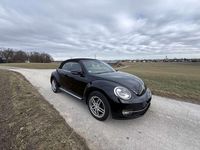 Gebraucht VW Beetle Allstar 105 PS (77 kW) 2016 Schwarz Kleinwagen