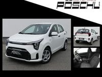 Neu Kia Picanto 68 PS (50 kW) 2025 Weiß Kleinwagen