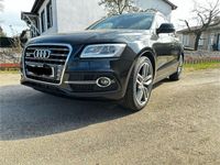 gebraucht Audi SQ5 TDI