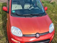 Gebraucht Fiat Panda 69 PS (50 kW) 2012 Rot Kleinwagen