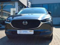 Gebraucht Mazda CX-30 Selection 122 PS (89 kW) 2022 Grau SUV