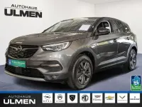 Gebraucht Opel Grandland X Design Edition 131 PS (96 kW) 2021 Grau SUV