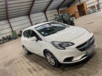 Gebraucht Opel Corsa 69 PS (50 kW) 2019 Weiß Kleinwagen