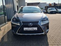 Gebraucht Lexus NX300h 197 PS (144 kW) 2021 Grau SUV