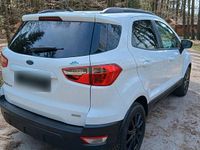 Gebraucht Ford Ecosport 125 PS (91 kW) 2018 Weiß SUV