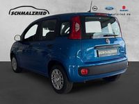 Neu Fiat Panda 69 PS (50 kW) 2025 Blau Kleinwagen
