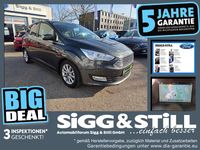 Gebraucht Ford C-MAX Titanium 125 PS (91 kW) 2018 Magneticgrau (metallic) Van / Kleinbus