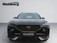 Gebraucht Cupra Formentor 150 PS (110 kW) 2023 Andere SUV
