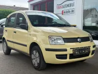 Gebraucht Fiat Panda Active 54 PS (39 kW) 2007 Gelb Kleinwagen