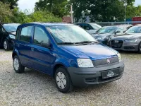 Gebraucht Fiat Panda Active 54 PS (39 kW) 2009 Blau Kleinwagen