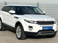 Gebraucht Land Rover Range Rover evoque Pure 150 PS (110 kW) 2013 Weiß SUV