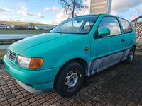 Usata VW Polo 45 CV (33 kW) 1996 Verde Utilitaria