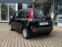 Neu Fiat Panda 69 PS (50 kW) 2025 Cinema schwarz Kleinwagen