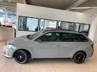 Gebraucht Skoda Fabia Monte Carlo 95 PS (69 kW) 2021 Grau Kleinwagen