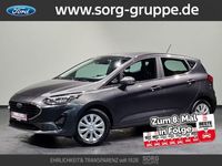 Gebraucht Ford Fiesta 75 PS (55 kW) 2022 Grau Kleinwagen