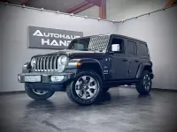 Gebraucht Jeep Wrangler Overland 200 PS (147 kW) 2020 Grau SUV