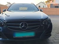 Gebraucht Mercedes E250 Avantgarde 204 PS (150 kW) 2014 Grau Kombi