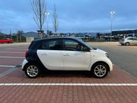 gebraucht Smart ForFour twinamic passion KomfortPaket Sitzheizung