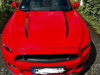 gebraucht Ford Mustang Cabrio 5.0 Ti-VCT V8 Aut. Black Shadow Edition