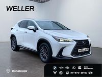 Gebraucht Lexus NX350h Executive Line 243 PS (178 kW) 2024 Weiss SUV