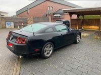 gebraucht Ford Mustang premiummodell unfallfrei originalzustand