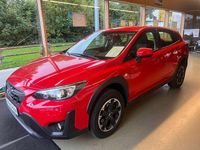 Gebraucht Subaru XV Trend 114 PS (83 kW) 2023 Pure red SUV