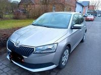 Gebraucht Skoda Fabia Active 95 PS (69 kW) 2019 Andere farben Kleinwagen